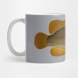 Mud Sunfish Mug